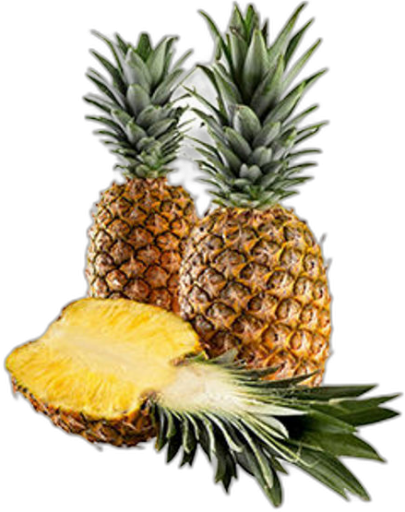 Produto 1
