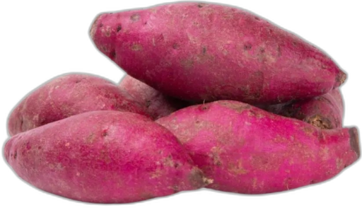 Produto 1
