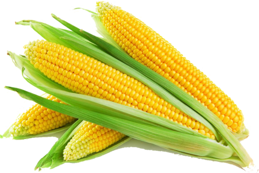 Produto 1